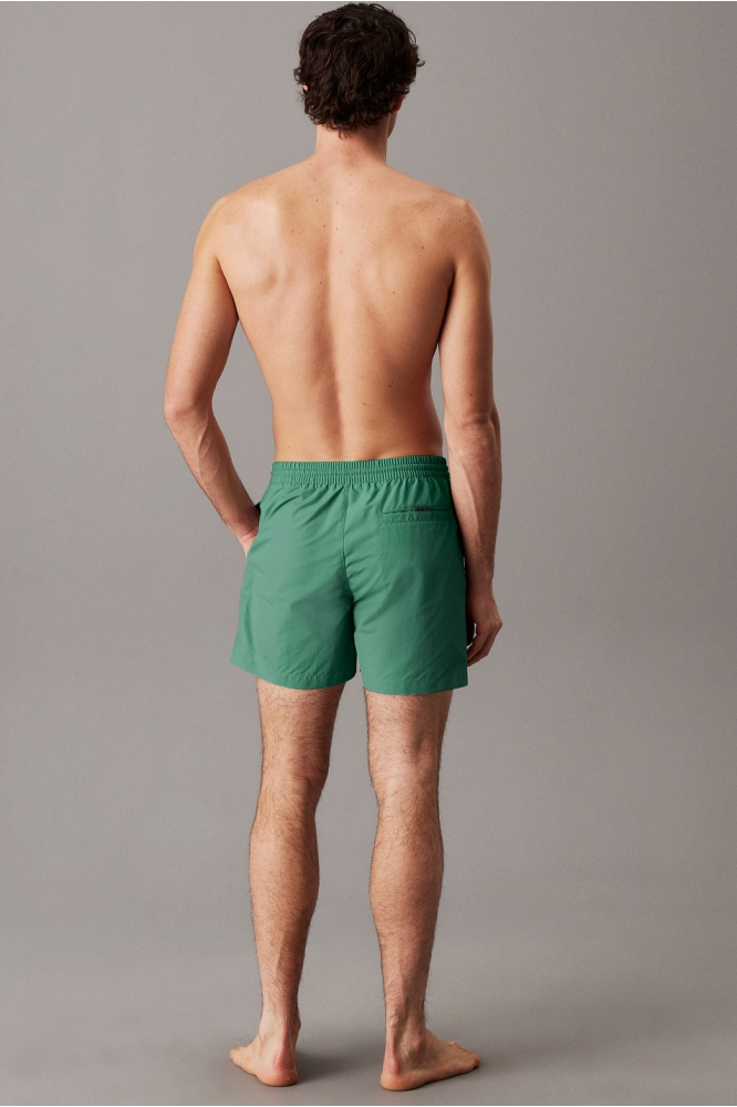 MEDIUM DRAWSTRING LV00N61109 VFL WILD GREEN